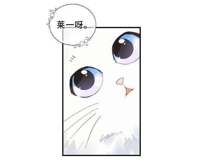 第2章：白猫