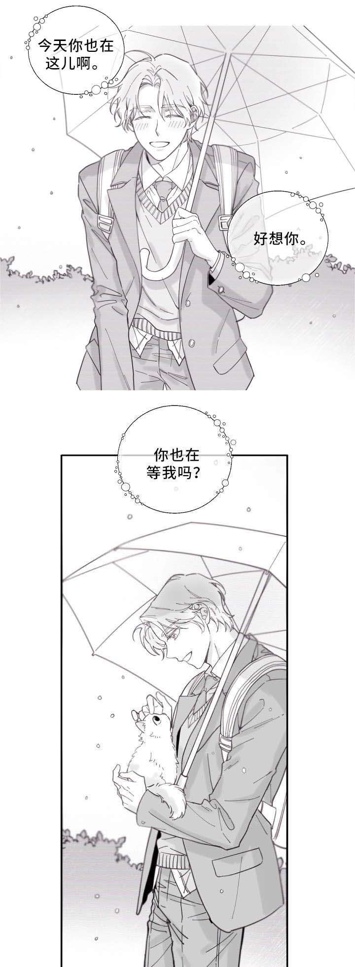 第2章：白猫