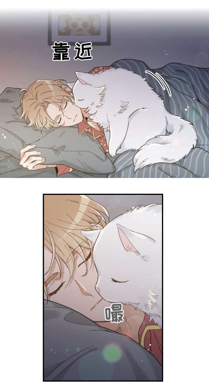第2章：白猫