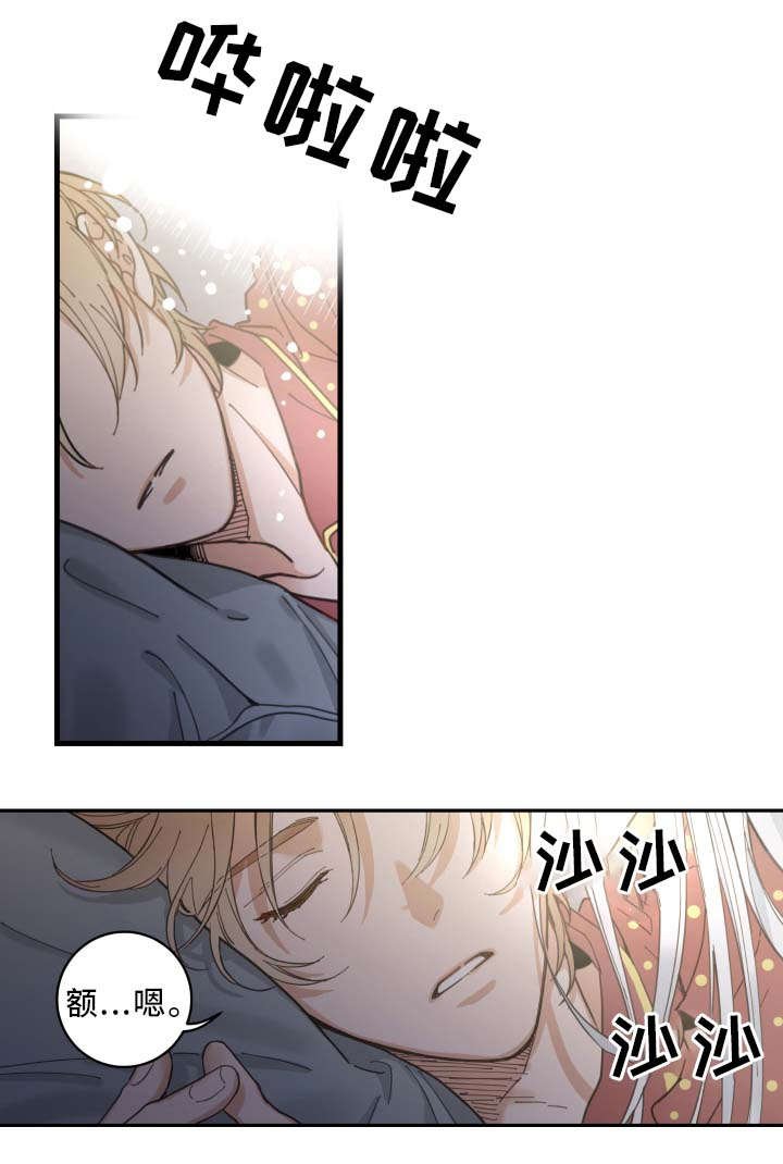 第2章：白猫