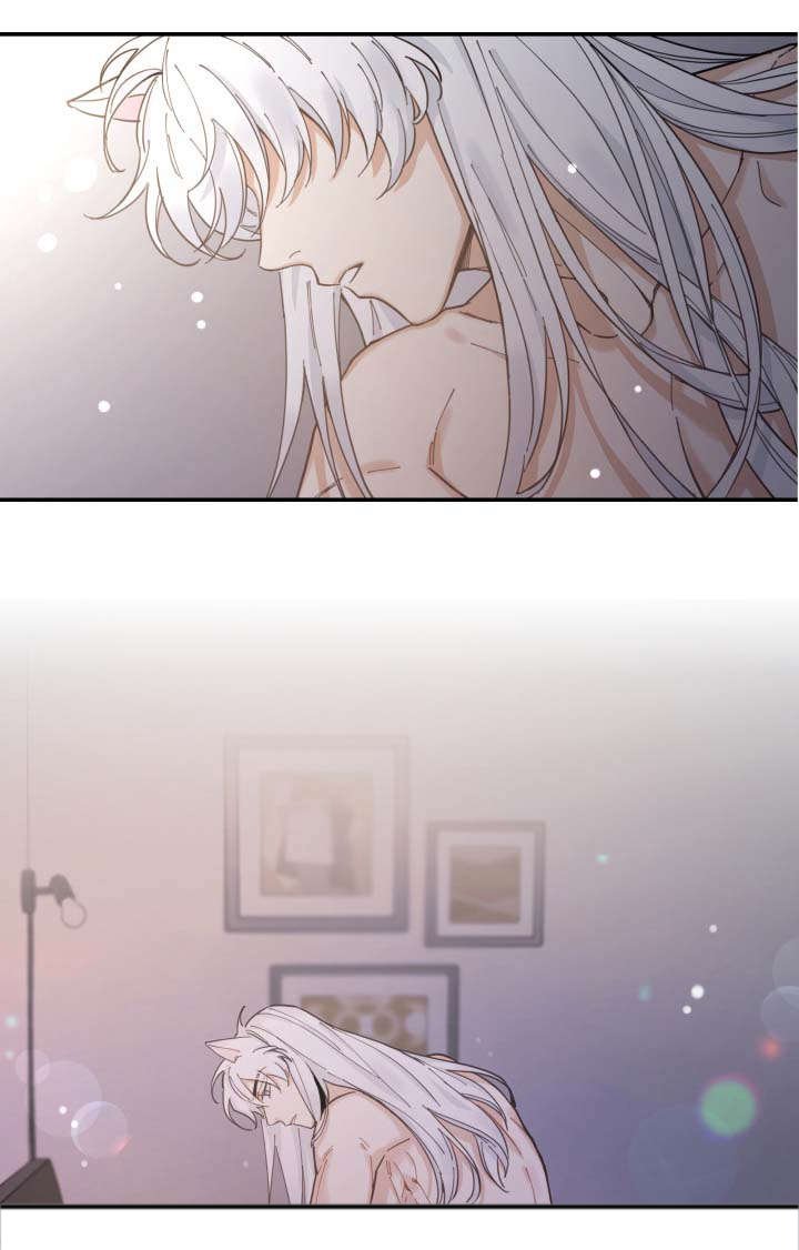 第2章：白猫