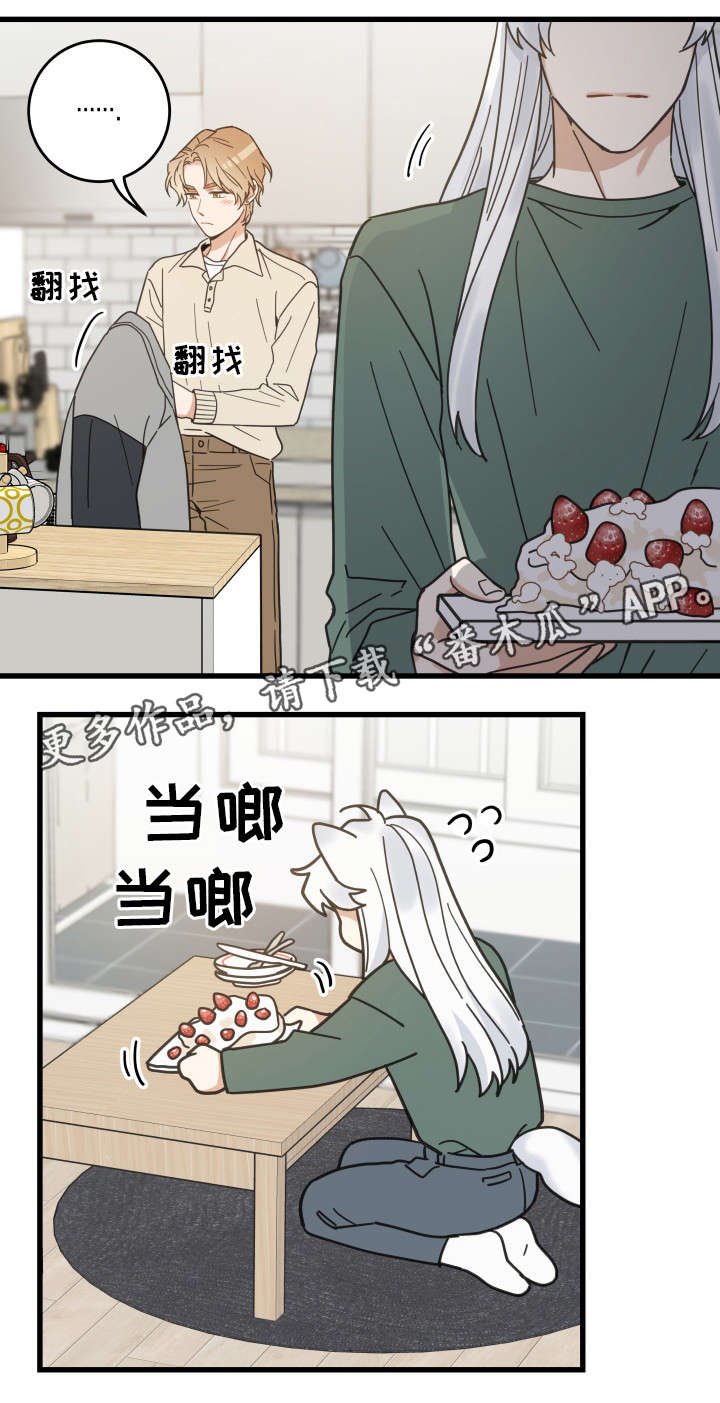 第28章：蛋糕