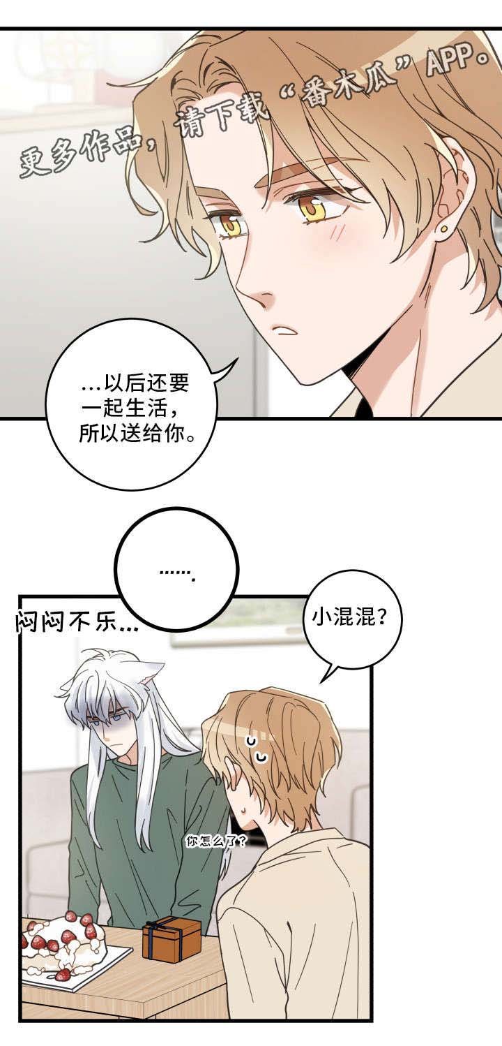 第28章：蛋糕