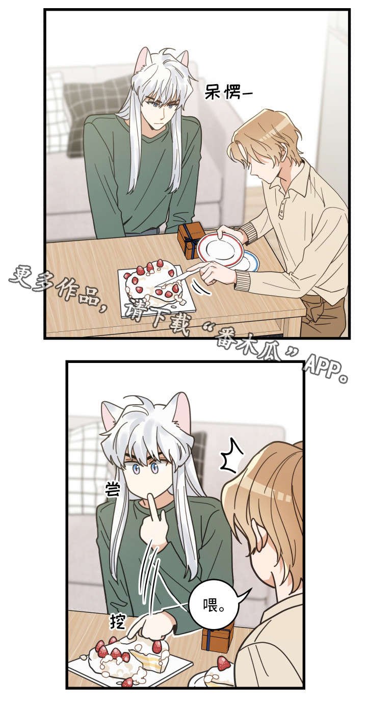 第28章：蛋糕