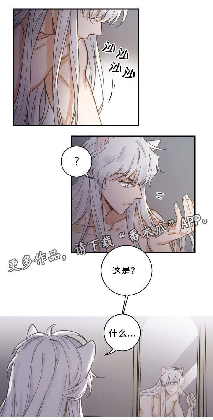 第3章：梦