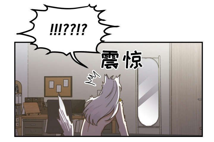 第3章：梦