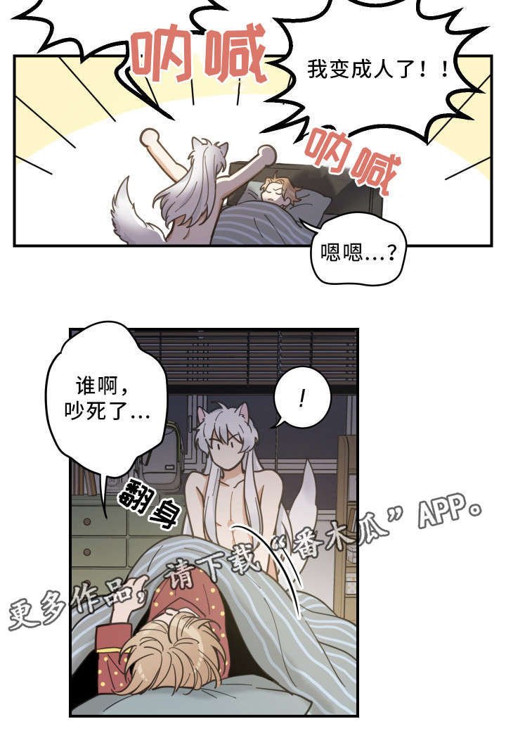 第3章：梦