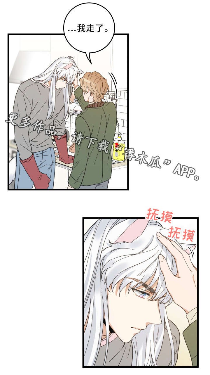 第31章：黑猫