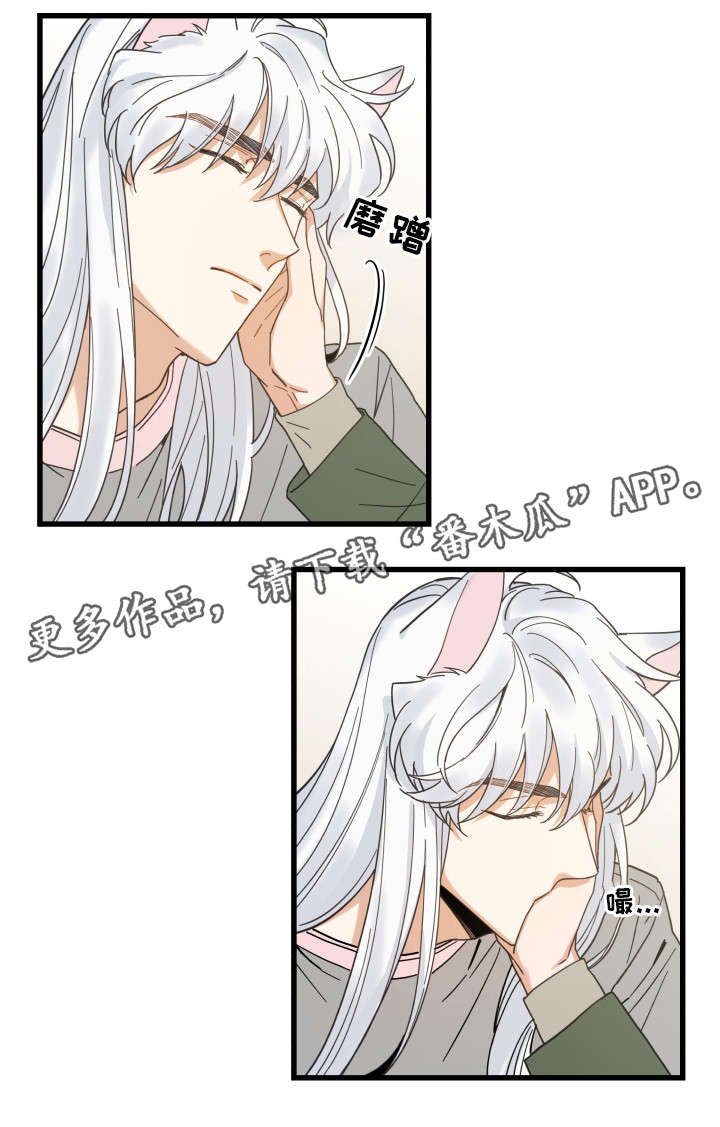 第31章：黑猫