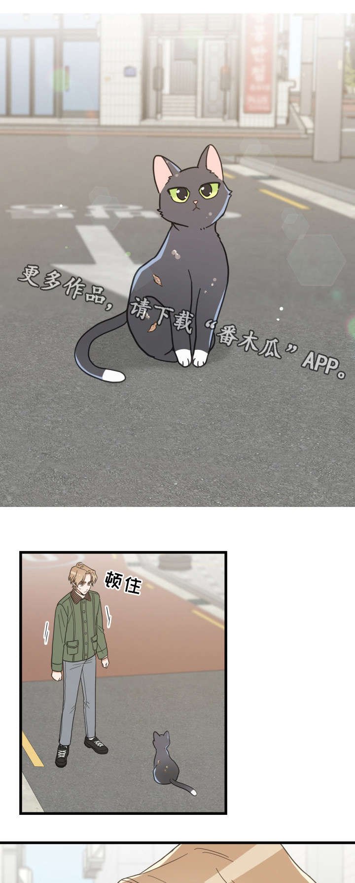 第31章：黑猫