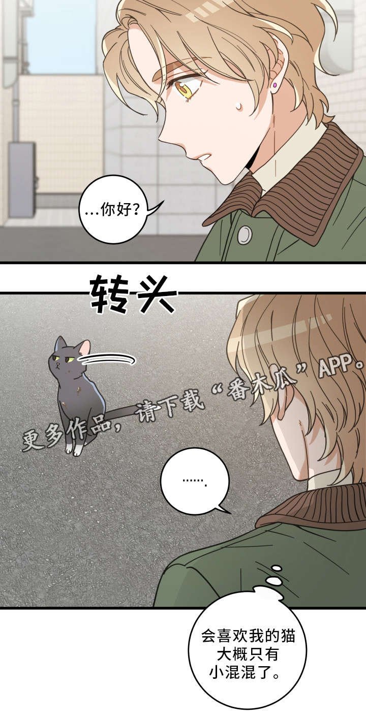 第31章：黑猫