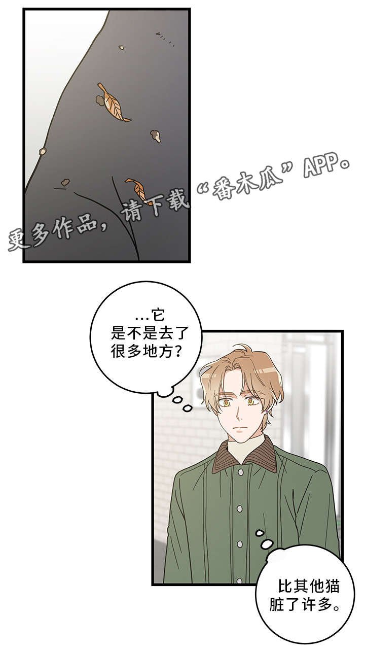 第31章：黑猫