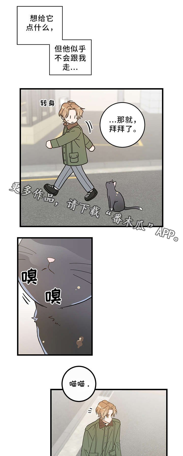 第31章：黑猫