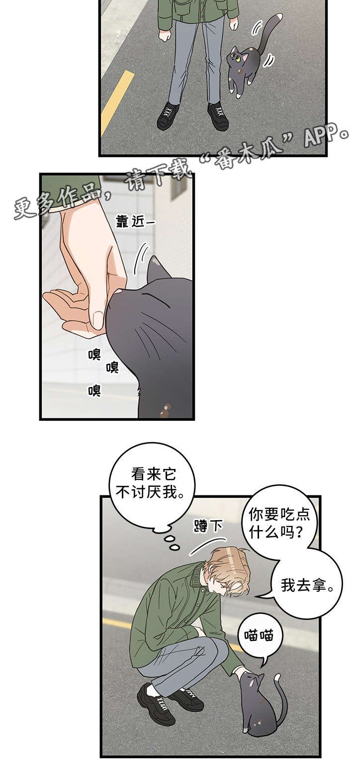 第31章：黑猫