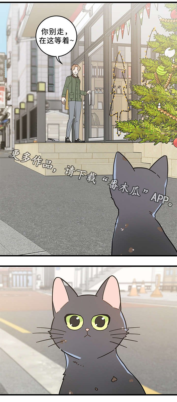 第31章：黑猫