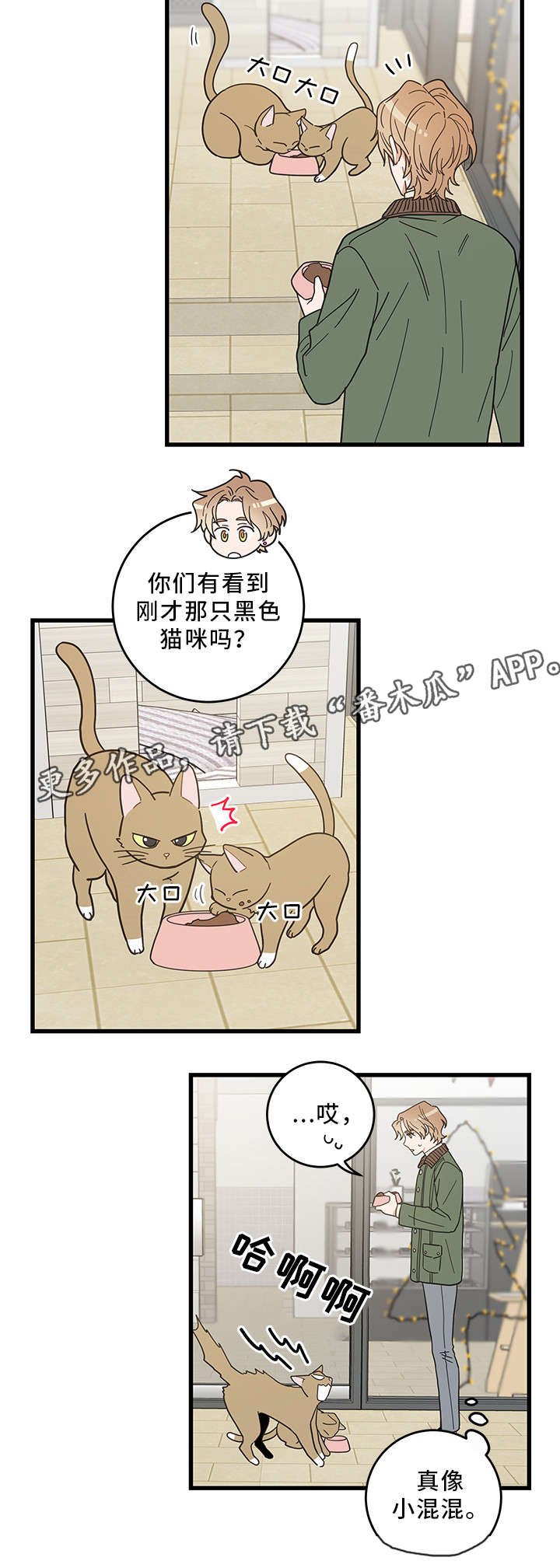 第31章：黑猫