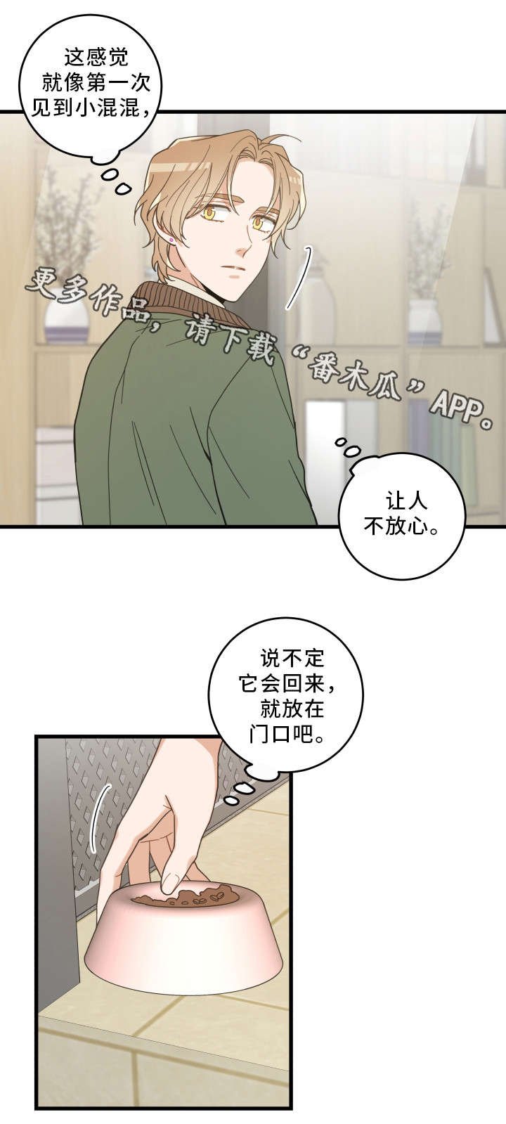 第31章：黑猫
