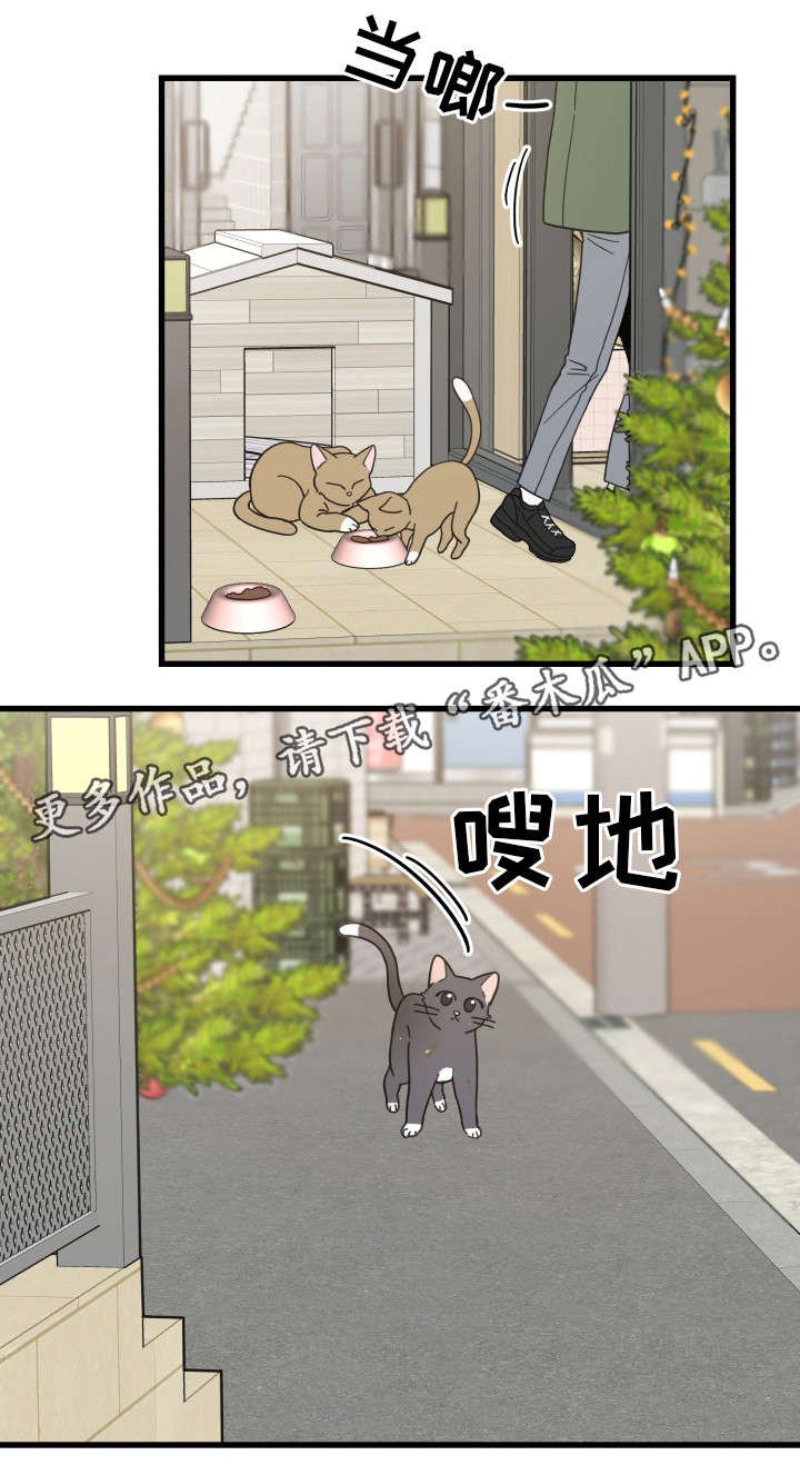 第31章：黑猫