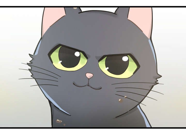 第31章：黑猫