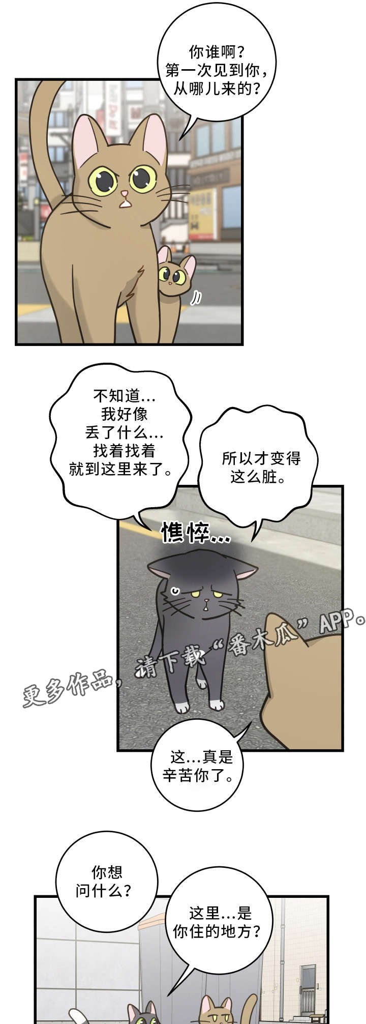 第32章：晕倒