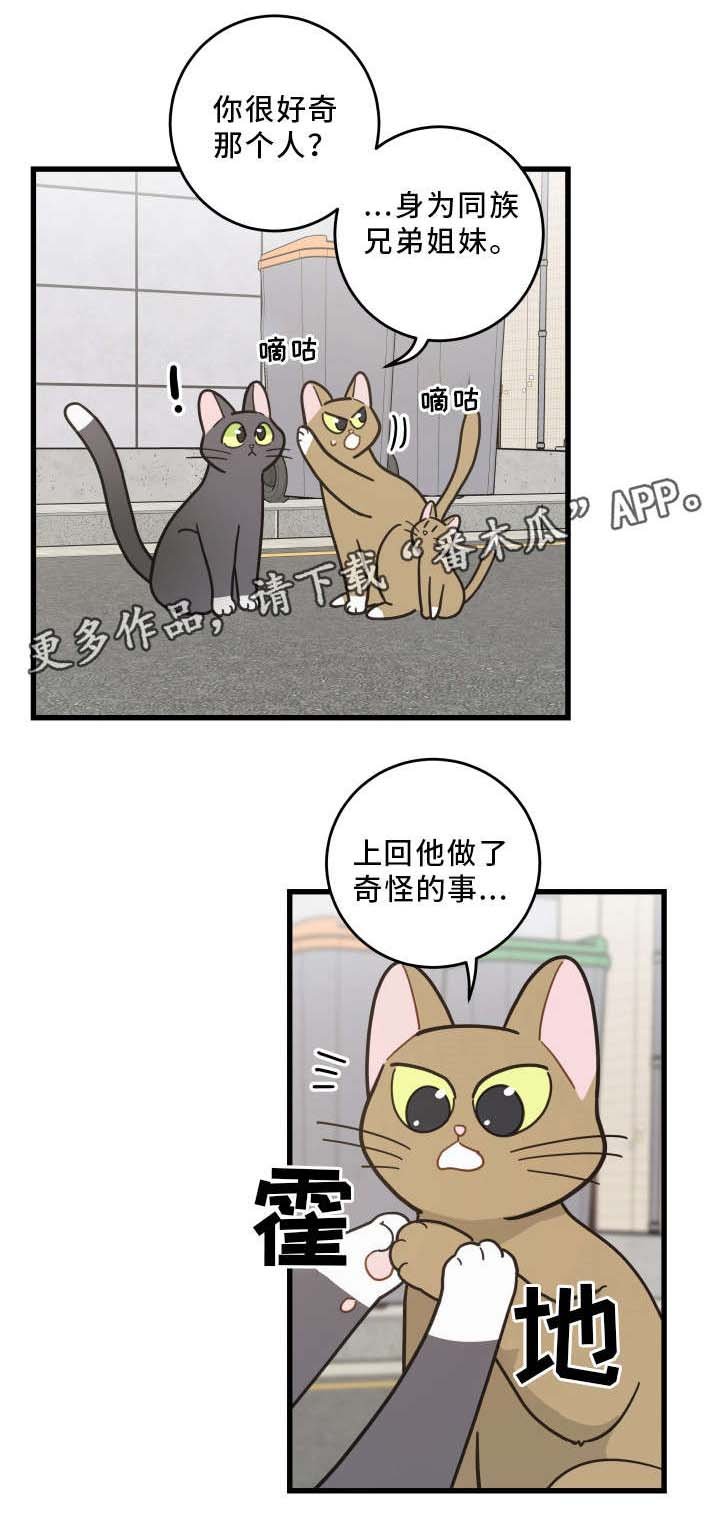 第32章：晕倒