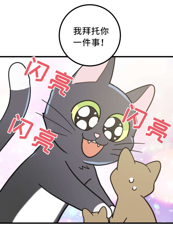 第32章：晕倒