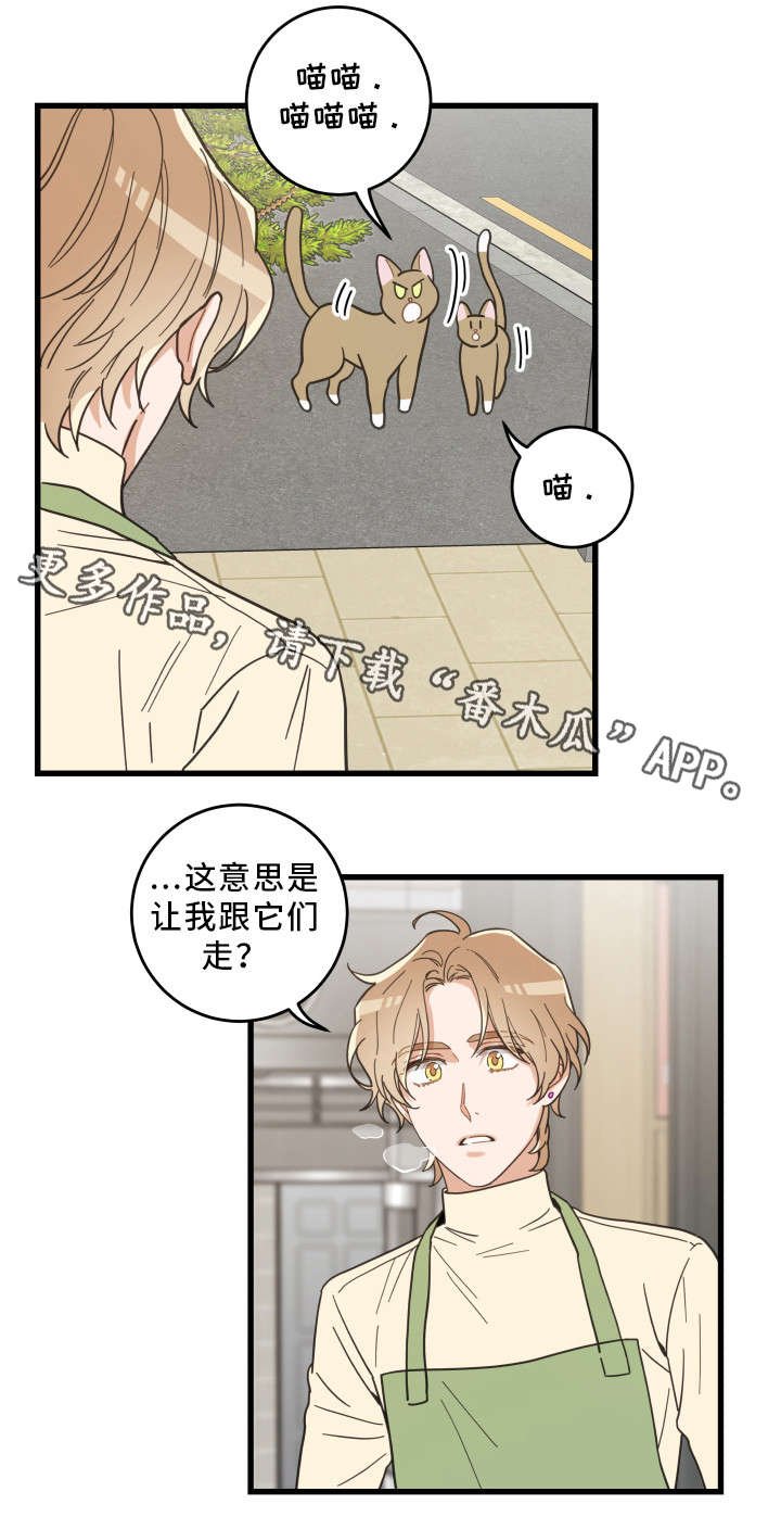 第32章：晕倒