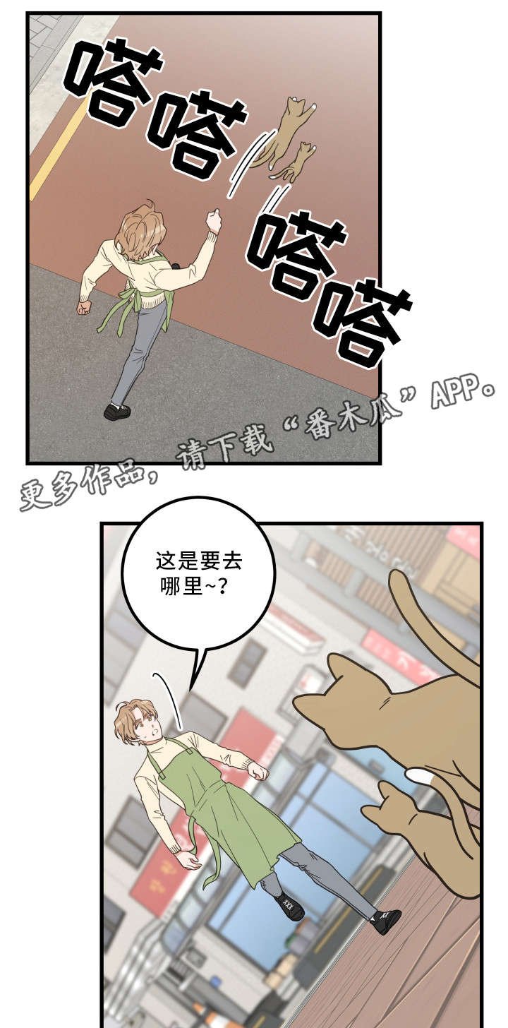 第32章：晕倒