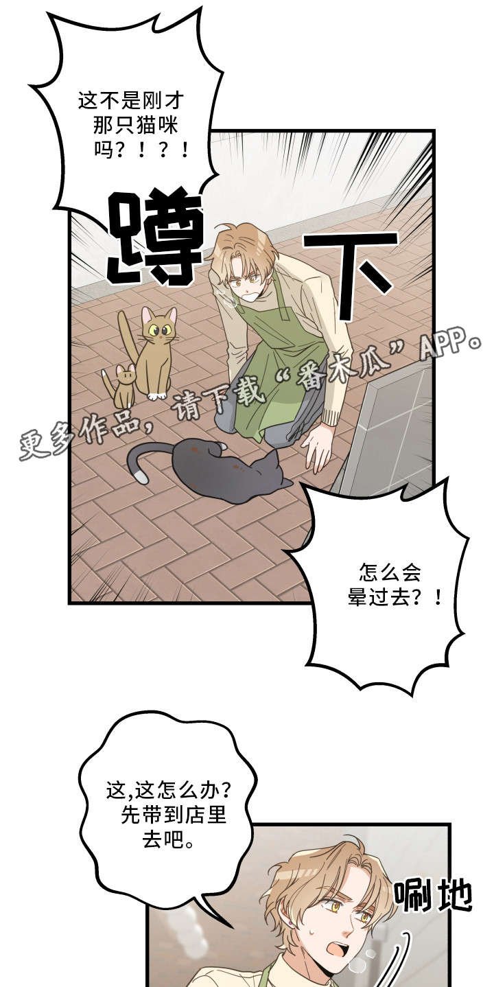 第32章：晕倒