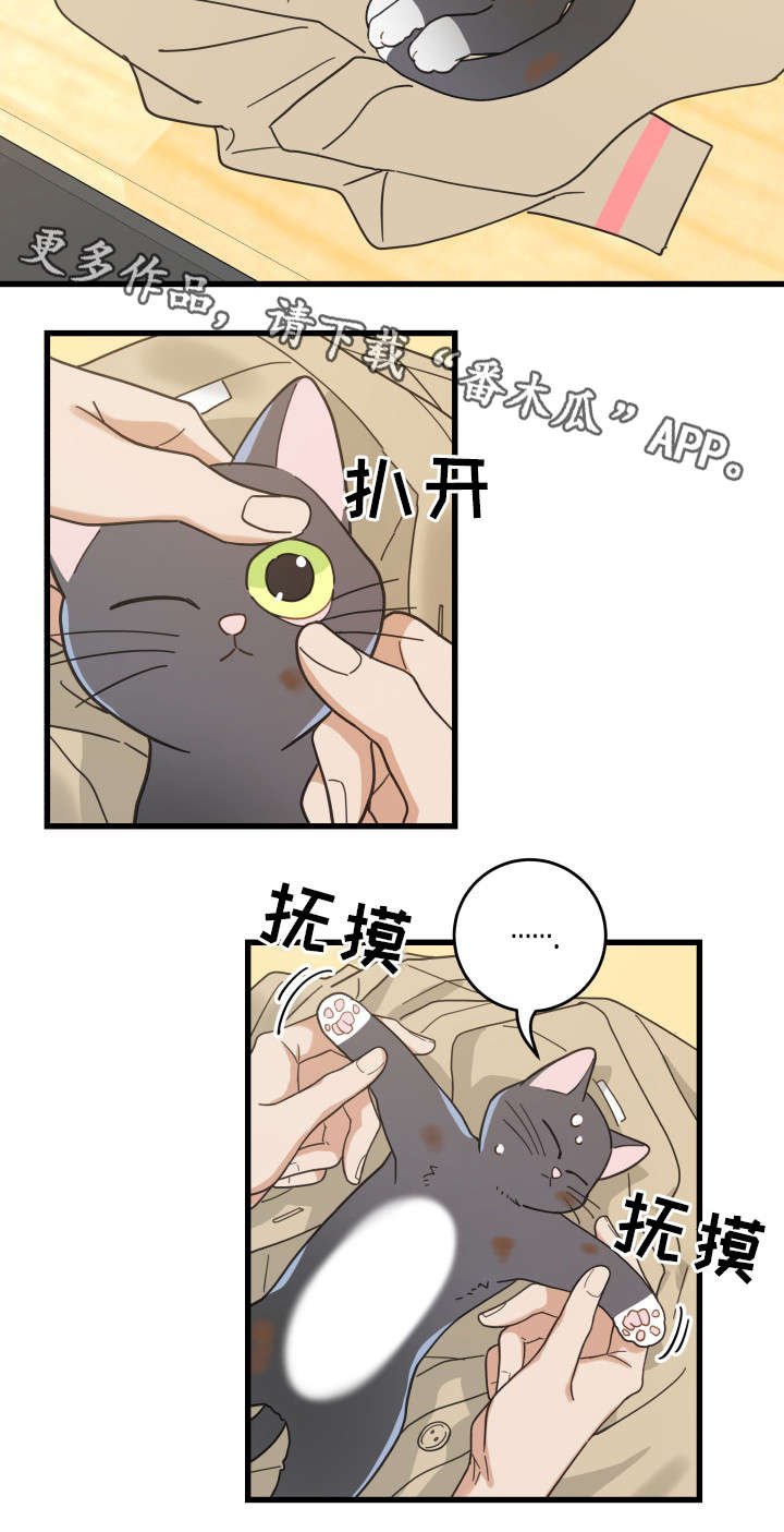 第32章：晕倒