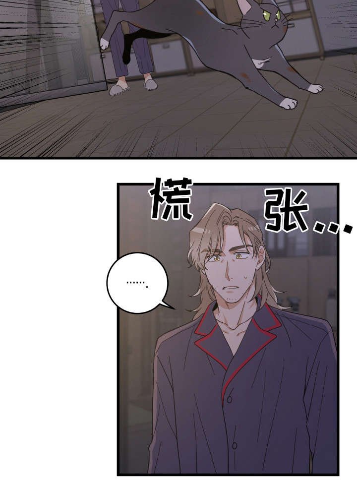 第35章：盯