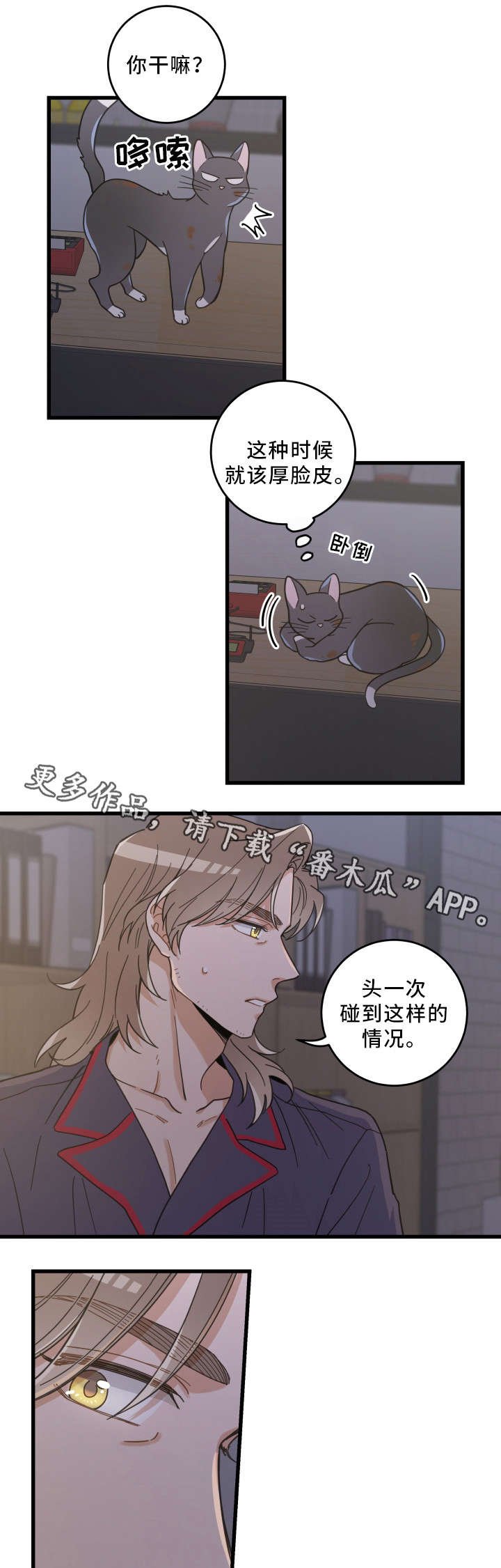 第35章：盯
