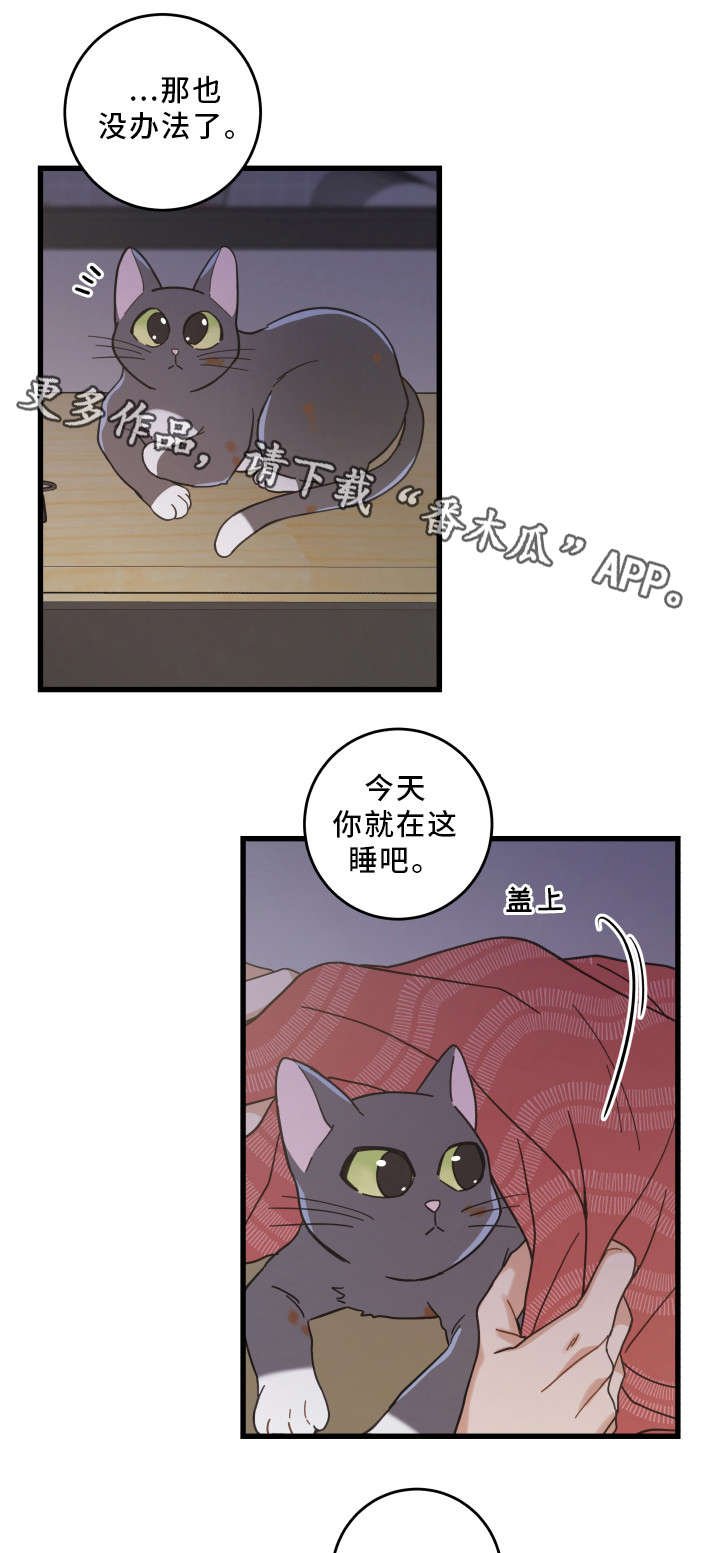 第35章：盯