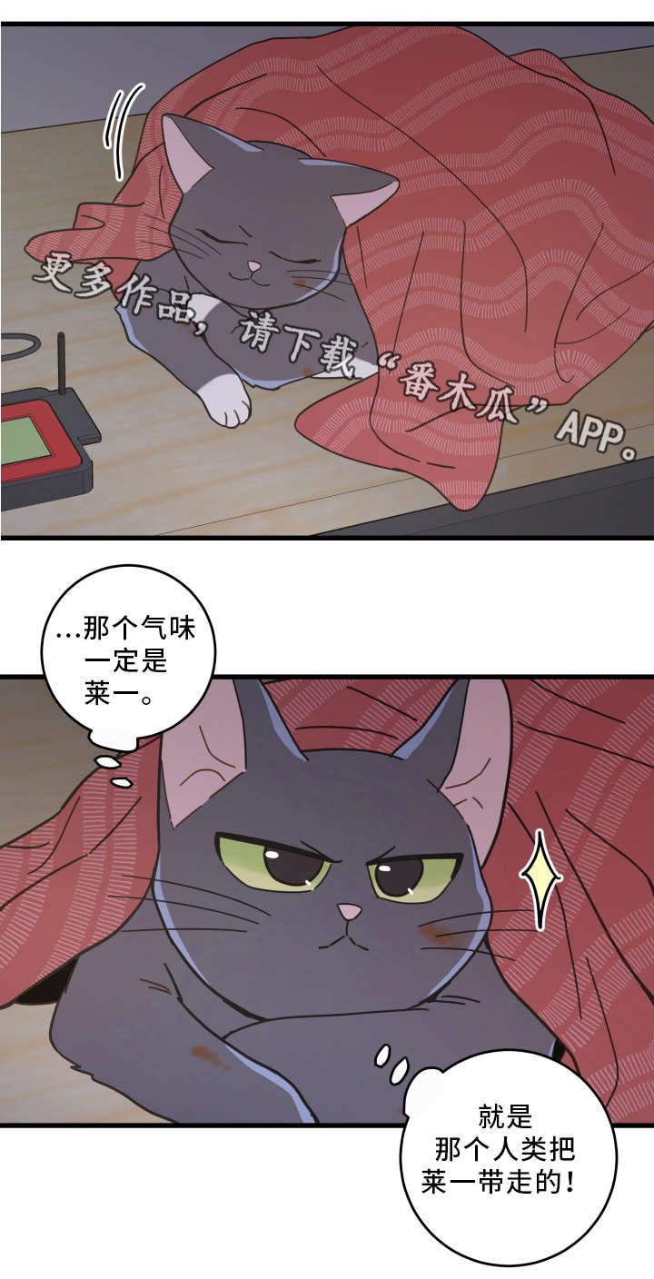 第35章：盯