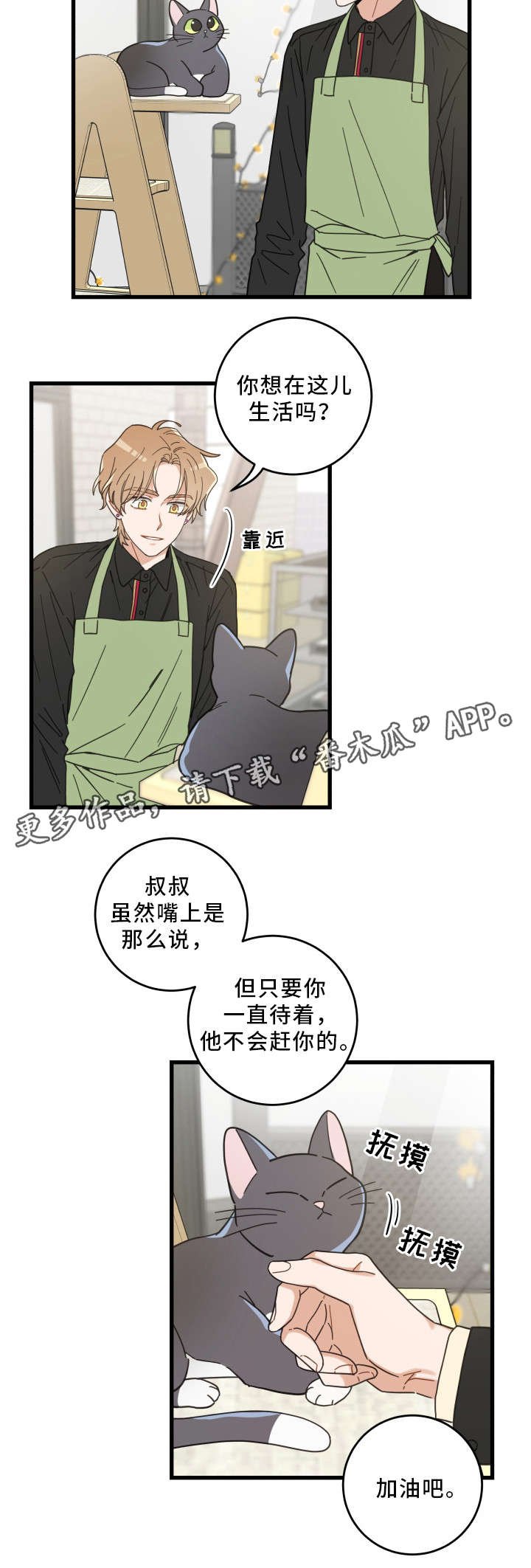 第35章：盯