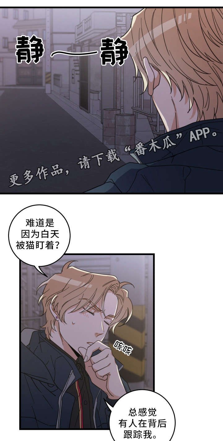 第36章：跟踪