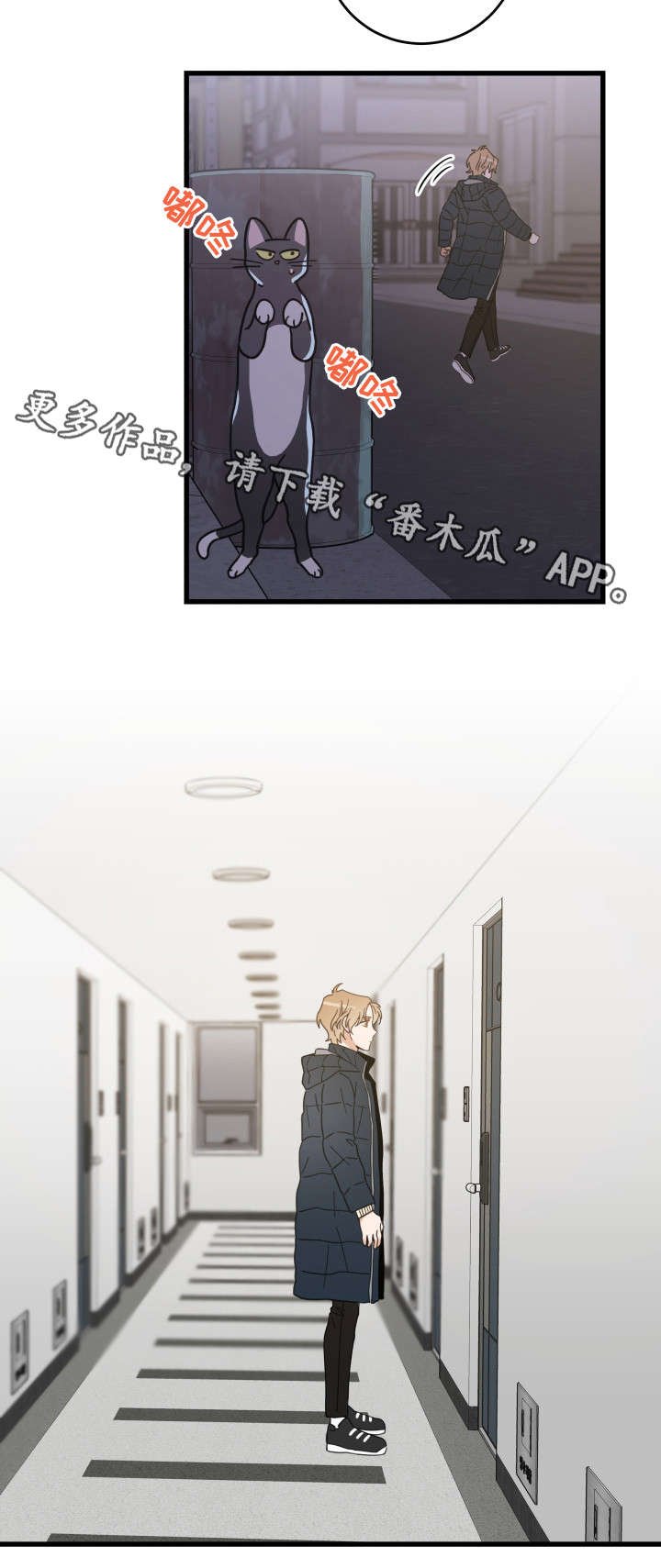 第36章：跟踪
