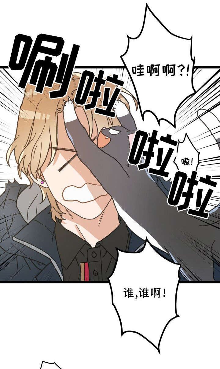 第36章：跟踪
