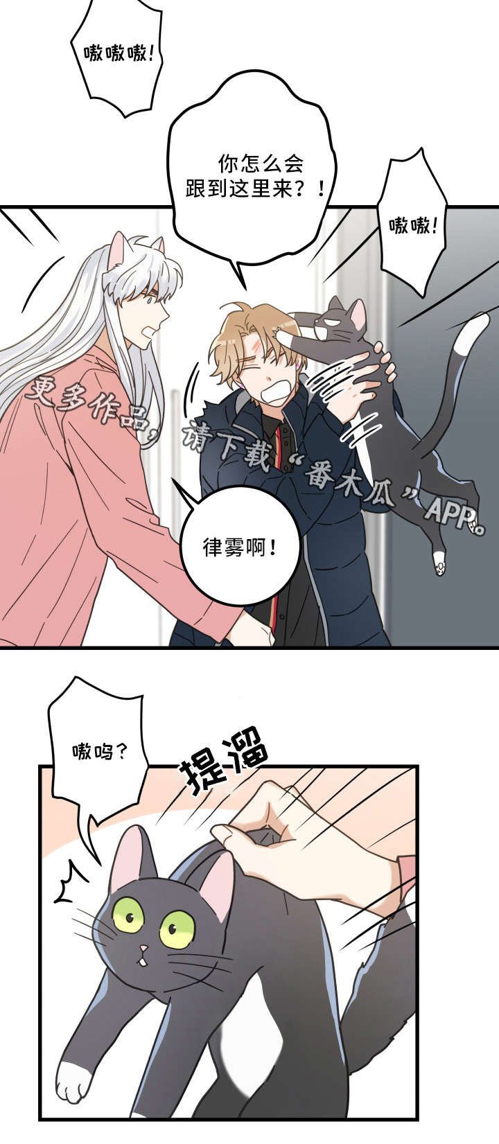 第36章：跟踪