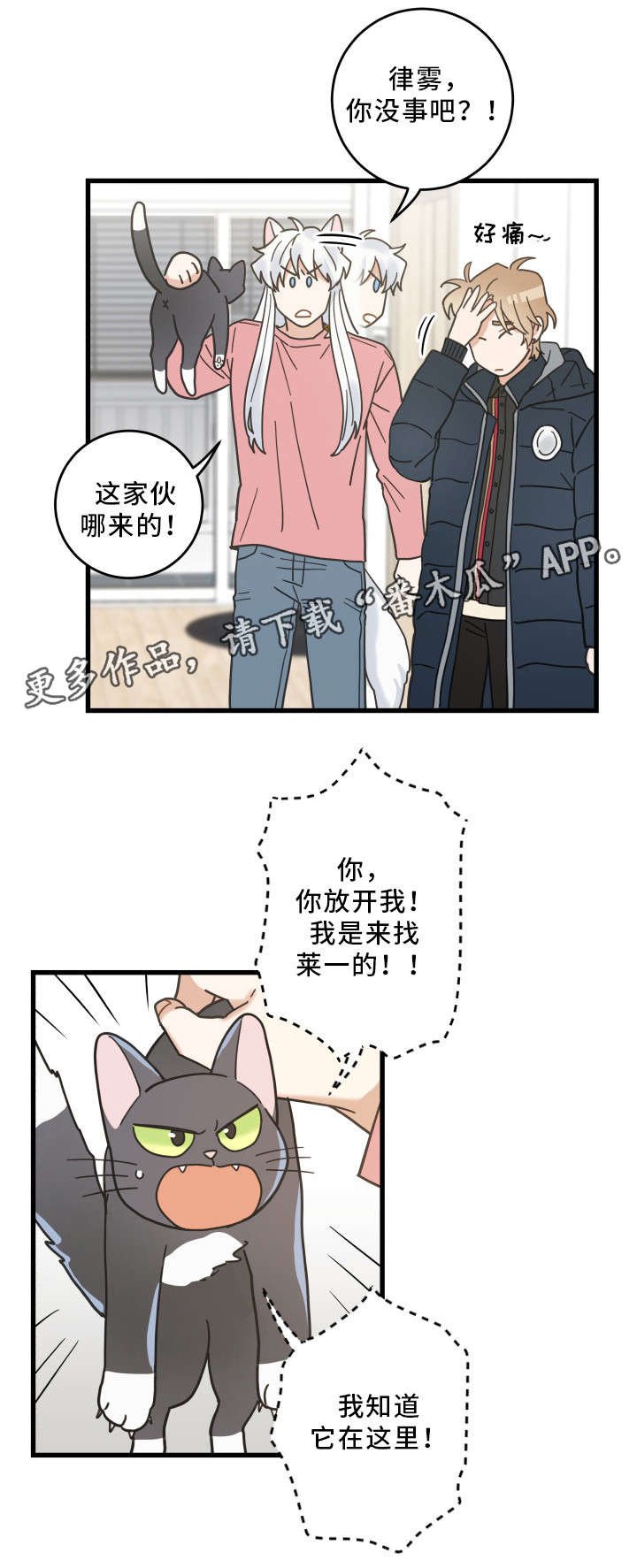 第36章：跟踪