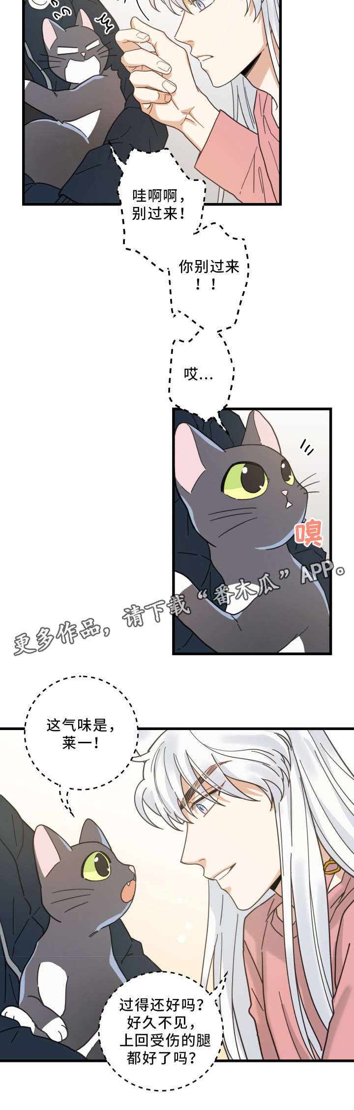 第36章：跟踪