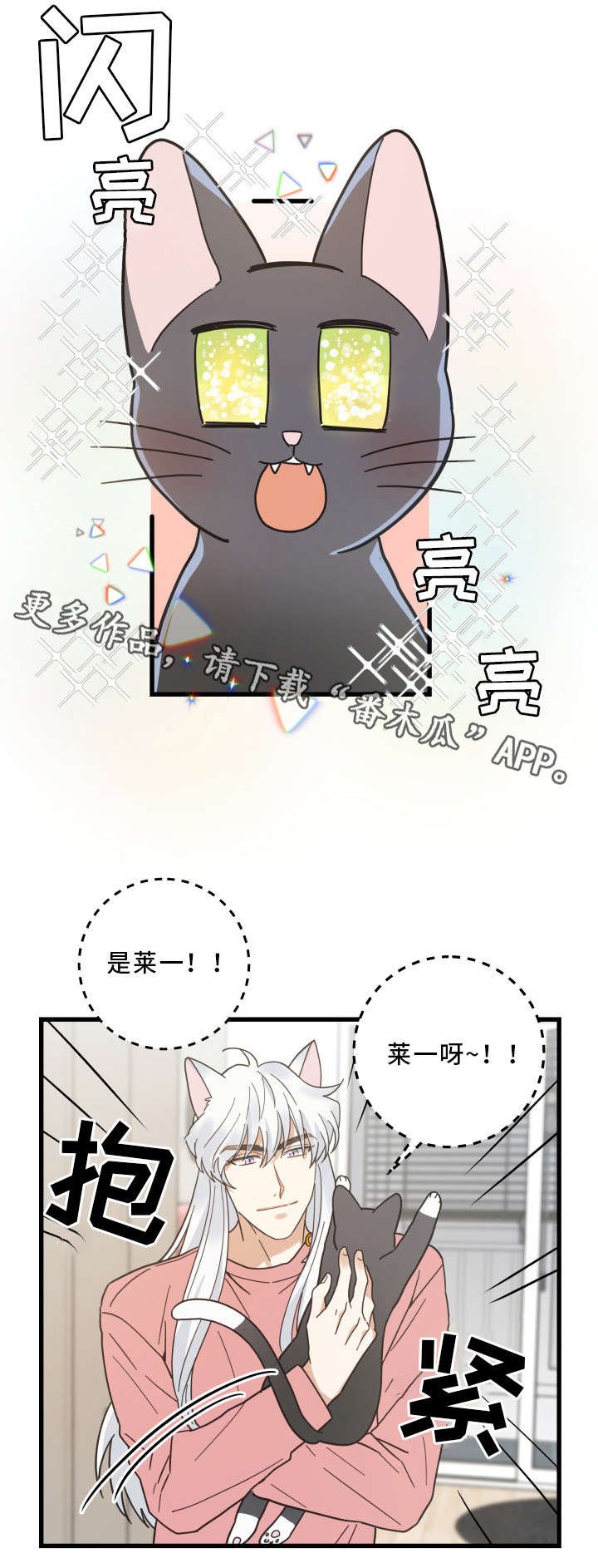 第36章：跟踪