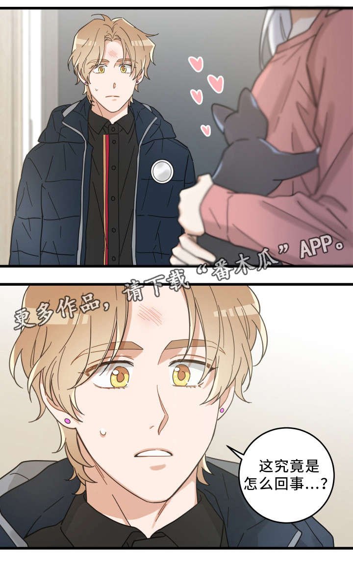 第36章：跟踪