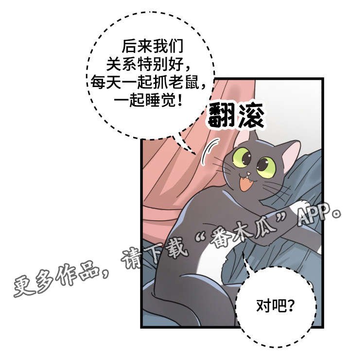 第37章：试探