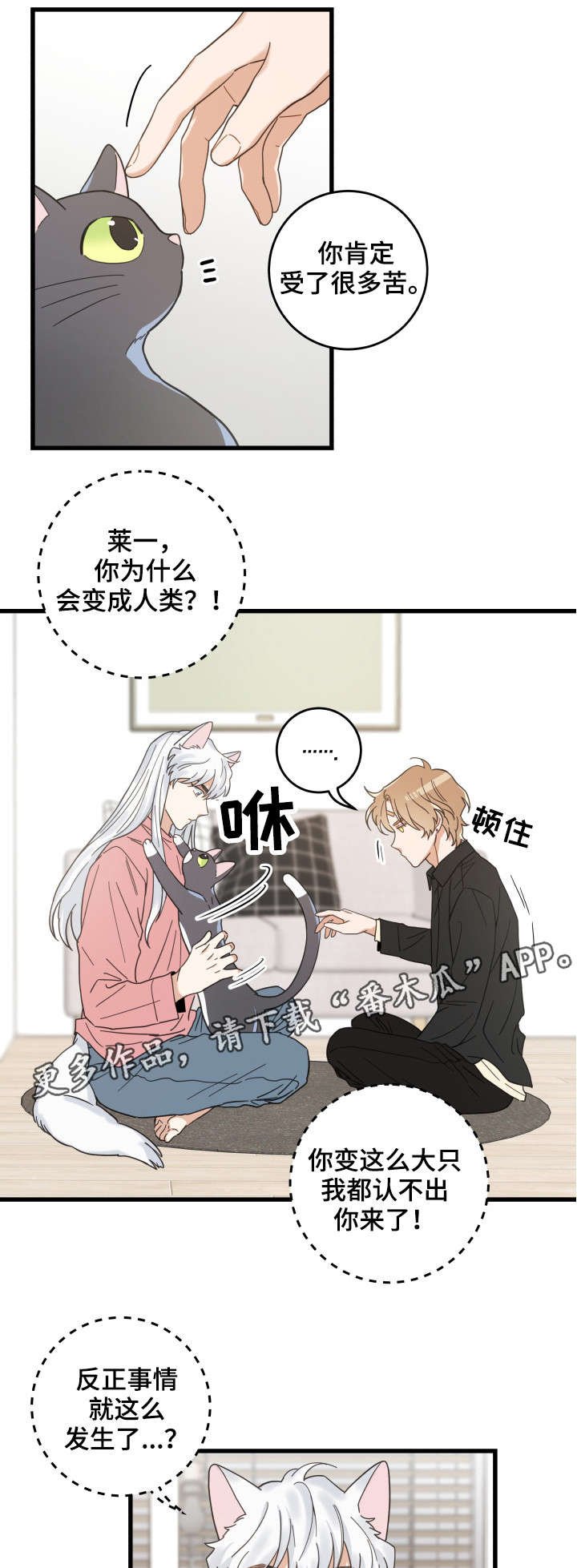 第37章：试探