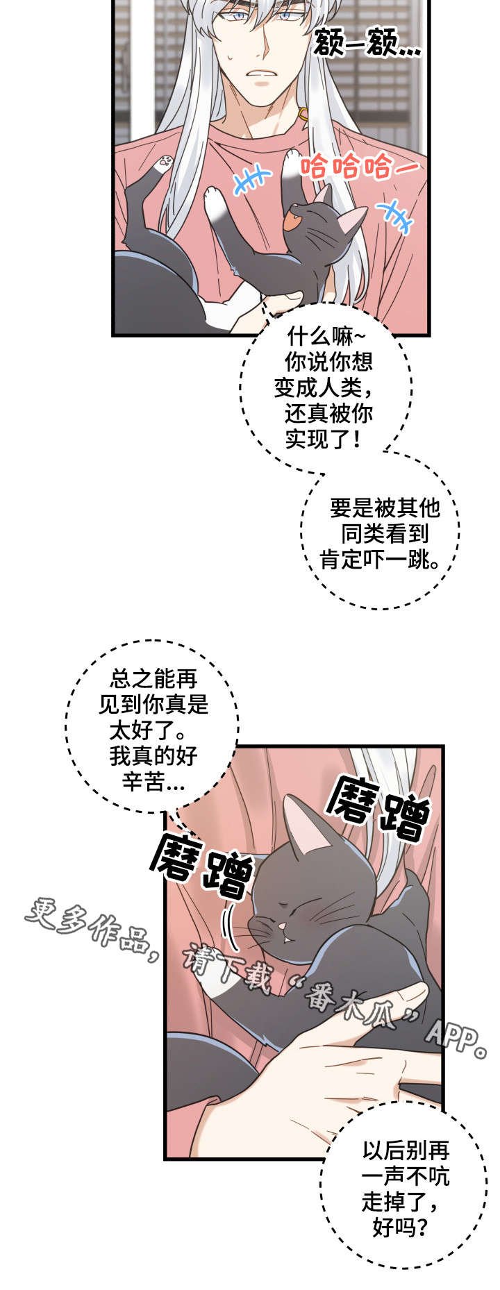 第37章：试探