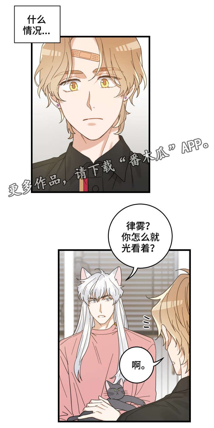 第37章：试探