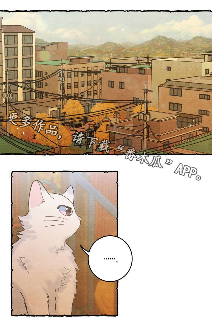 第38章：打扰