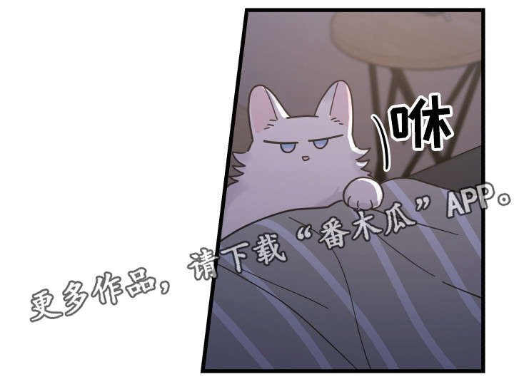 第38章：打扰