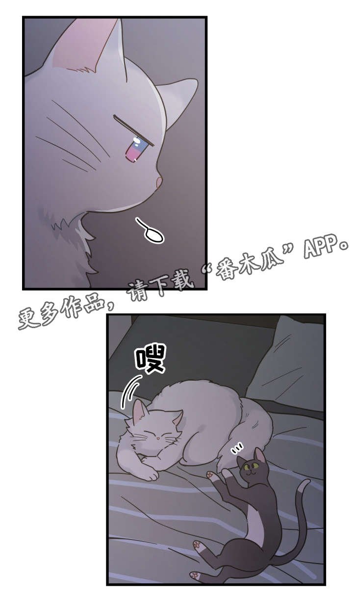 第39章：你别走